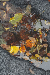 beautiful picturesque yellow and brown autumn wet leaves in puddle. vertical atmospheric content. the texture of autumn leaves. the backdrop. selective focus