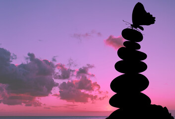 Papillon sur galets zen au soleil couchant 