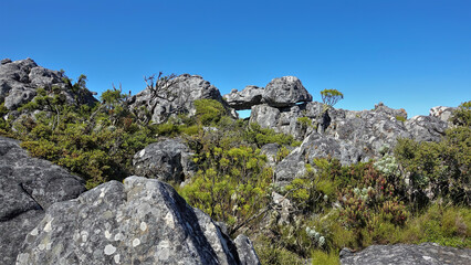 Huge picturesque boulders against the blue sky. A fynbos  grows between the gray spotted stones....