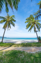 Phuket patong beach Summer beach with palms trees around in Patong beach Phuket island Thailand, Beautiful tropical beach with blue sky background in summer season Copy space