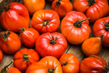 Freshly harvested ripe organic tomatoes in the wooden crate. Selective focus.
