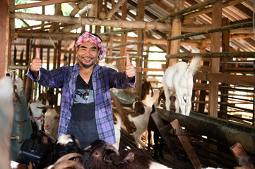 A farm worker or a farm owner raising young goats in a farmhouse. In the background, the goat pet stands and eats.