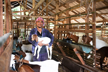 A farm worker or a farm owner raising young goats in a farmhouse. In the background, the goat pet...