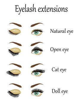 Eyelash Extension types and forms. Infographic vector illustration.