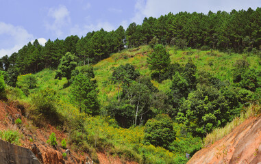 Mountain scenery of Dalat, Vietnam