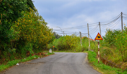 Road on the Dalat Plateau with wild sunflowers