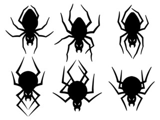 Halloween Spider Silhouette. black and white image illustration