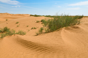 Fototapeta na wymiar In the anthropogenic Black Lands desert on a sunny day. Republic of Kalmykia, Russia