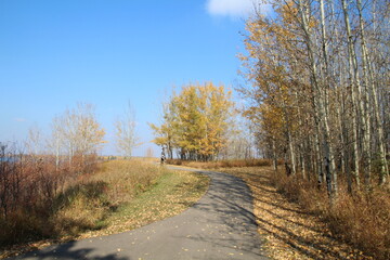 October On The Trail, Elk island National Park, Alberta