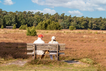 Old people relaxing in the Lüneburg Heath (in german Lüneburger Heide) Lower Saxony (in german...