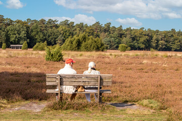 Old people relaxing in the Lüneburg Heath (in german Lüneburger Heide) Lower Saxony (in german Niedersachsen) Germany