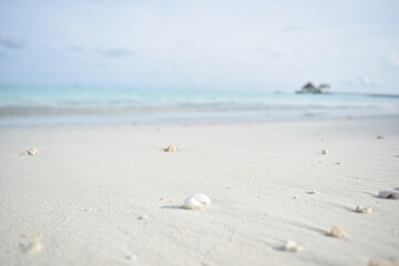 sand beach and sea
