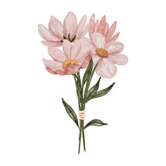 watercolor cosmos petal flower bouquet illustration
