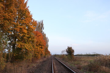 railroad in autumn forest
