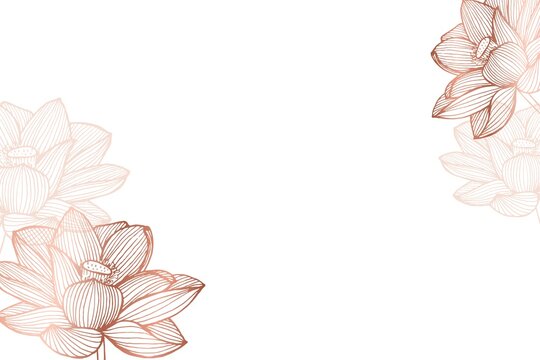 Lotus Flower Background Images Browse 444 089 Stock Photos