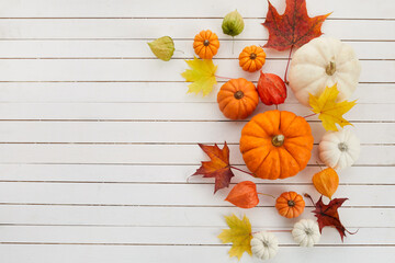 Autumn framework from pumpkins, berries and leaves on a travertine background. Concept of Thanksgiving day or Halloween.