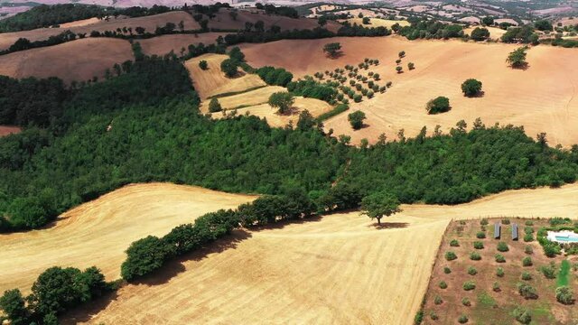 Tuscan countryside shot with drone at summer time. Aerial view of amazing wine fields country in sunny weather, arid fields,green trees,olive trees 
