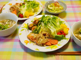 日本の家庭料理　手料理　煮物や焼き魚など白米やお酒に合うおかず