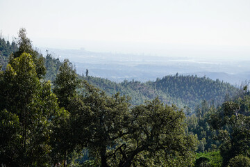 Monchique in mountains of Algarve, Portugal