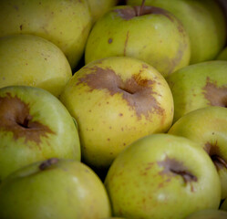 Manzanas golden, una de las frutas más completas y saludables que se conocen