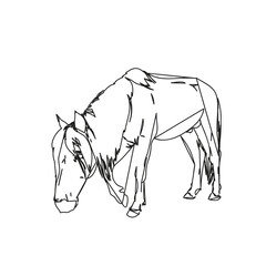 Abstract line sketch horse walking slowly with head down, full length portrait isolated black and white vector Hand drawn animal illustration