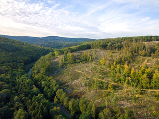 Fototapeta na wymiar Luftaufnahme mit Drohne vom Waldsterben im Taunus durch den Borkenkäfer und Klimawandel in der Nähe von Oberusel, Deutschland Hessen