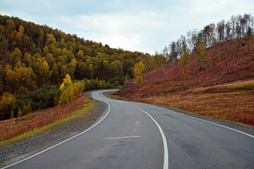 Autumn road going into the distance