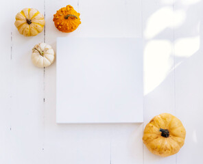 Empty picture frame with autumn pumpkin decor in white interior. Thanksgiving minimal flat lay composition. Cozy clean home holiday design background.
