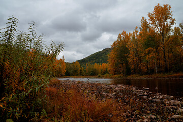 Autumn landscape with river and mountains