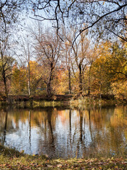 Fototapeta na wymiar Autumn landscape with a lake. On the far shore, colorful autumn trees. Reflection of trees in the lake. Sunlight. Vertically