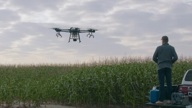 Farmer controlling a huge intelligent agriculture drone with spray nozzles near corn field early in the morning