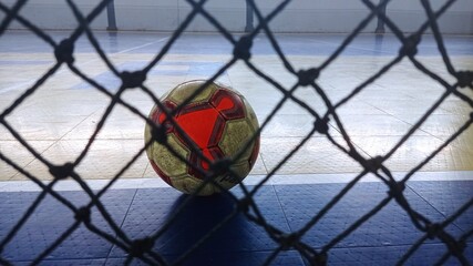 ball in the net