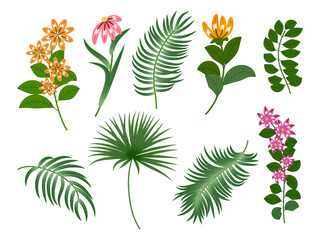 Tropical palm leaves, flowers, jungle leaves, botanical vector illustration
