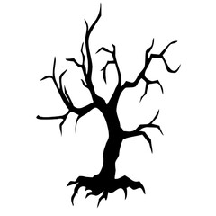 Tree branch wood trunk plant ecology