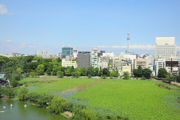 日本　都会　上野方面から眺めた東京スカイツリー