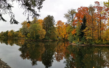 Autumn in the park. Trees with bright, already falling leaves are reflected in the pond water.