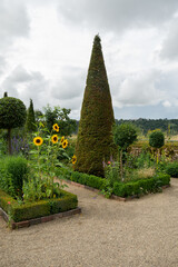 botanical garden in eichstätt with rare plants