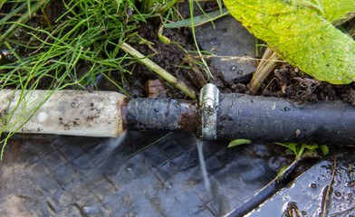 a hole in a hose with water and a pipe bursting, a hose with a flowing water in the garden, broken...