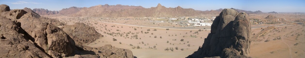 desert landscape