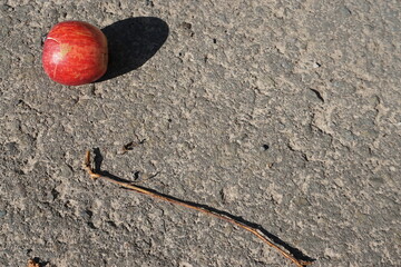 Roter Apfel auf asphaltiertem Feldweg