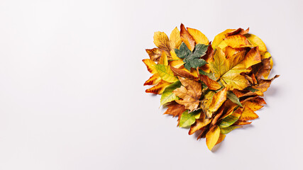 Heart made of dry autumn leaves on a bright white background. Natural invitation card with copy space. Creative fall season concept. Mothers day or Valentines love arrangement. Flat lay.