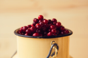 Red bilberry, cowberry, fowberry, redberry, cranberry in can