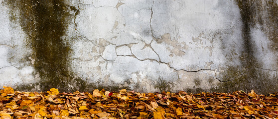 Naturalne tło  opadających żółtych i pomarańczowych jesiennych liści z teksturą starej pionowej, postarzanej ulicznej ściany w jesiennym świetle października. Panorama, tapeta, obraz.