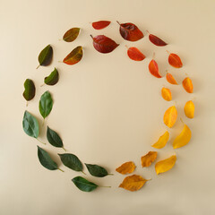 The concept of the seasons, a circle of multicolored leaves.Spring ,Summer, Autumn. Minimal...