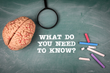 What Do You Need to Know. Green chalk board with text