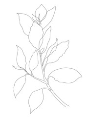 Vector brunch with leaves in line