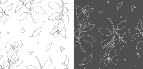 Vector pattern set grey,black and white brunch