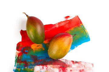 Two mango on colorful painted background