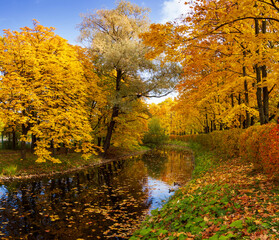 Fototapeta na wymiar Landscape in the autumn park