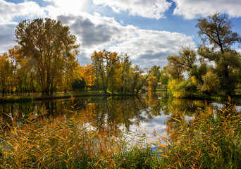 Fototapeta na wymiar Landscape in the autumn Victory Park in St. Petersburg